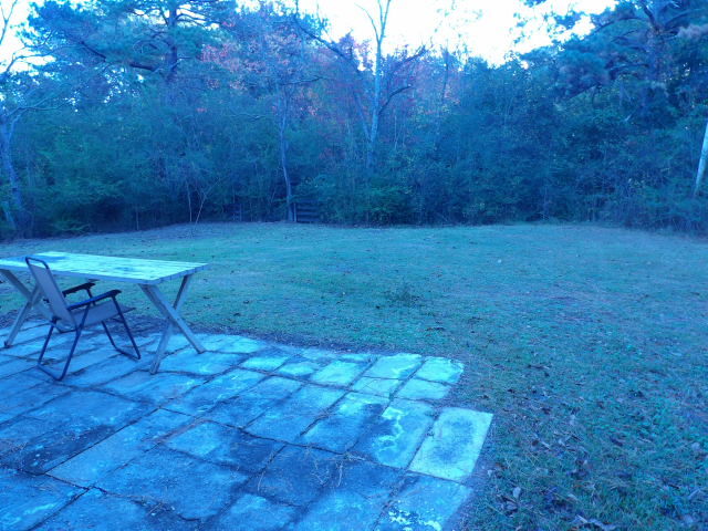 Back Yard - 1006 White Oak Ext