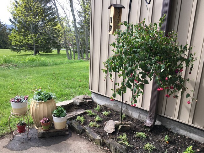 Foto del edificio - 1051 Danby Rd