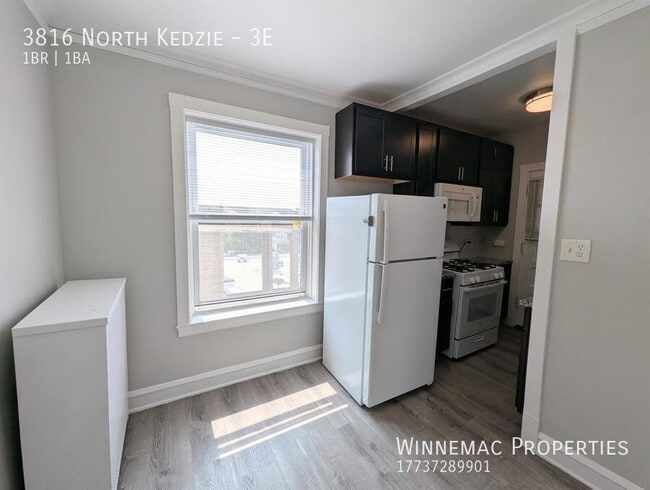 Building Photo - 3816 North Kedzie-3E