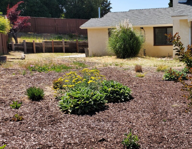 1494 Condor Ln, Templeton, CA 93465 House Rental in Templeton, CA