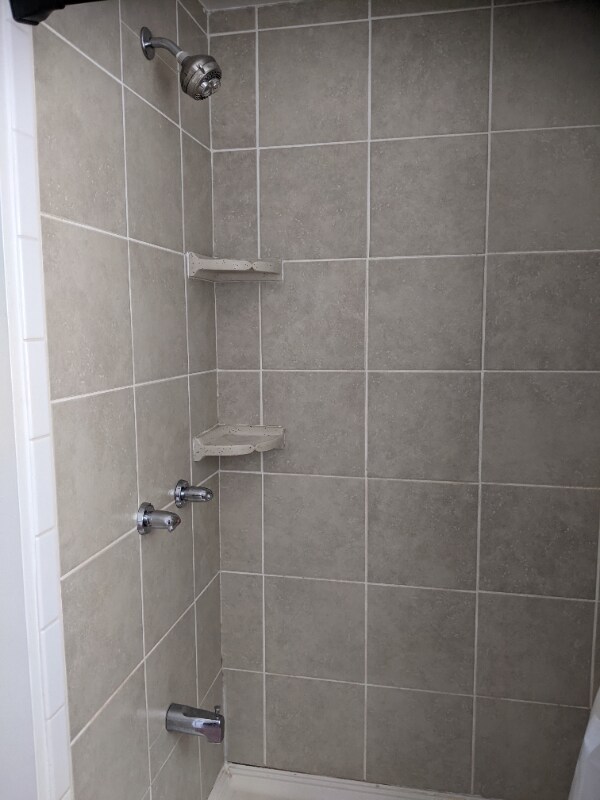 Foto del edificio - 708 White Pines Dr