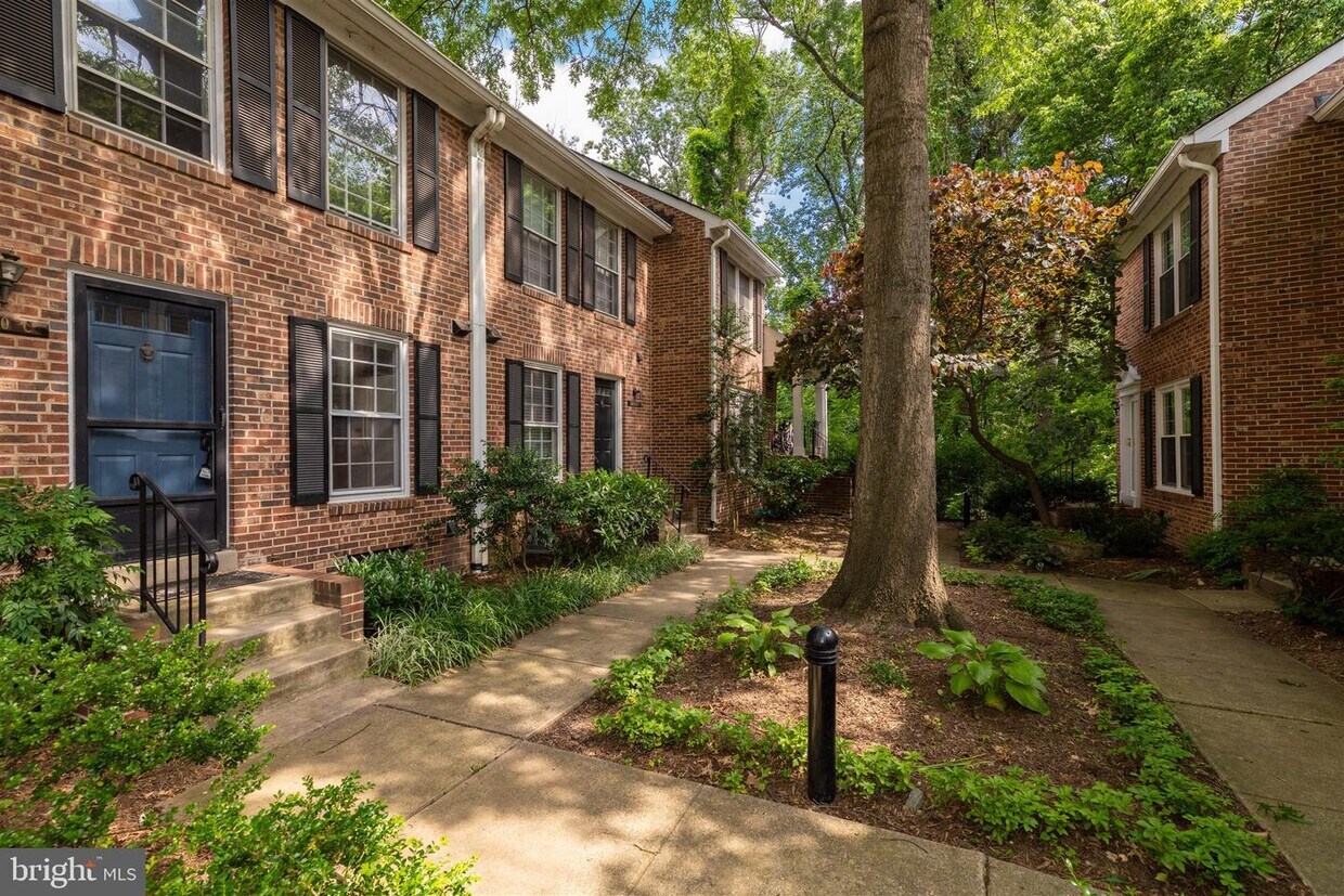 2440 S Walter Reed Dr Unit 3, Arlington, VA 22206 Condo for Rent in