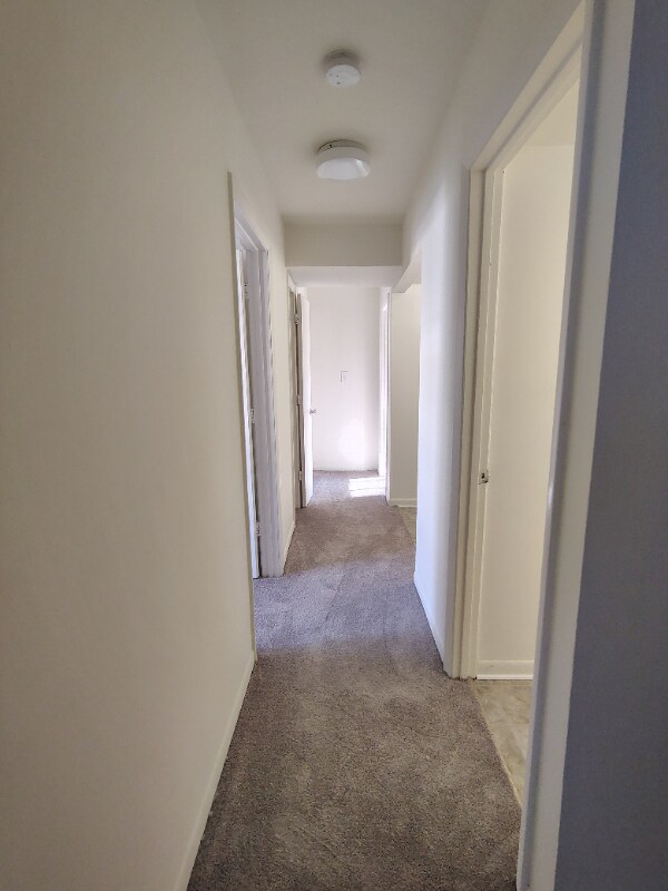 Foto del edificio - 600 Reusens Rd