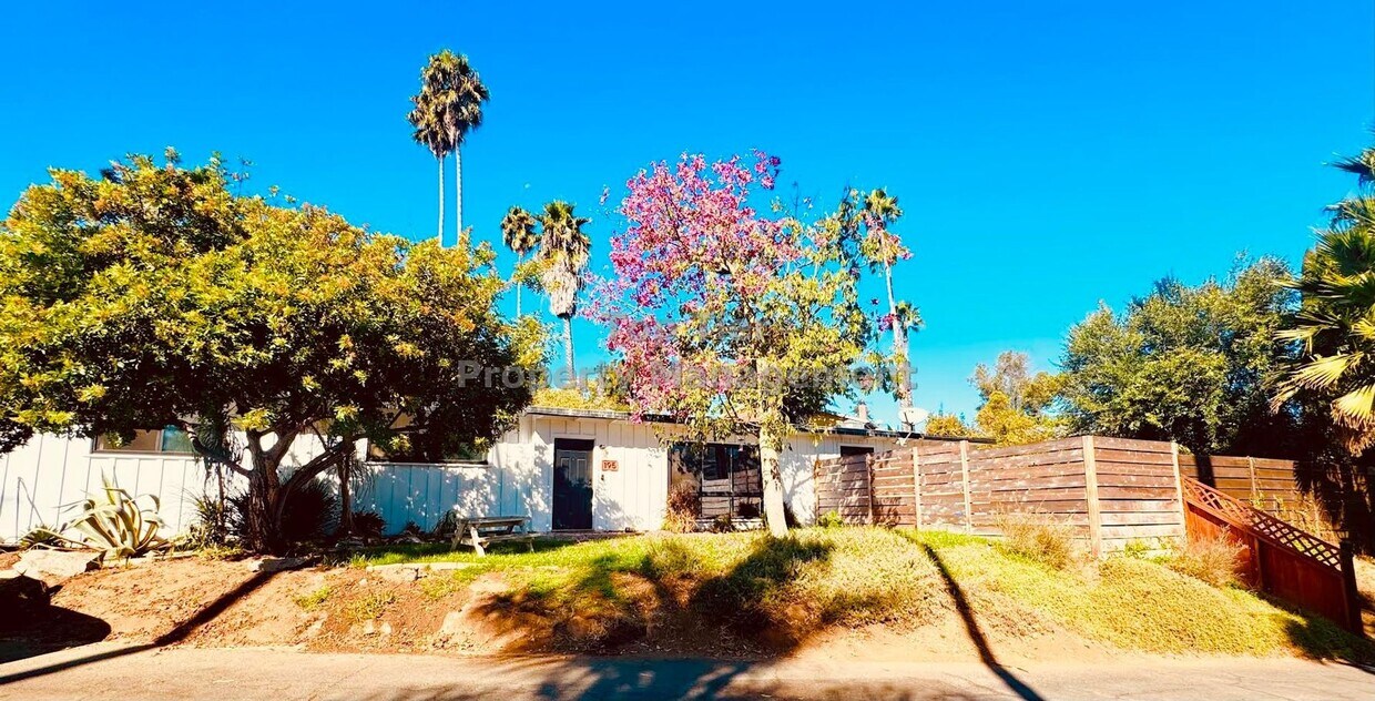Primary Photo - 3 bed, 2 bath One-Story with Hot Tub & Big...