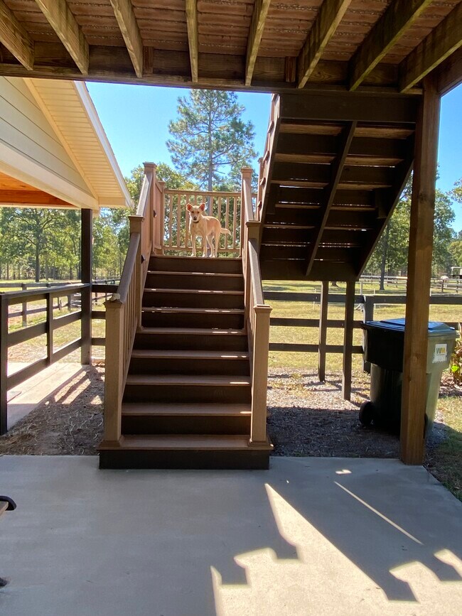 Subiendo escaleras - 970 Shell Bluff Dr