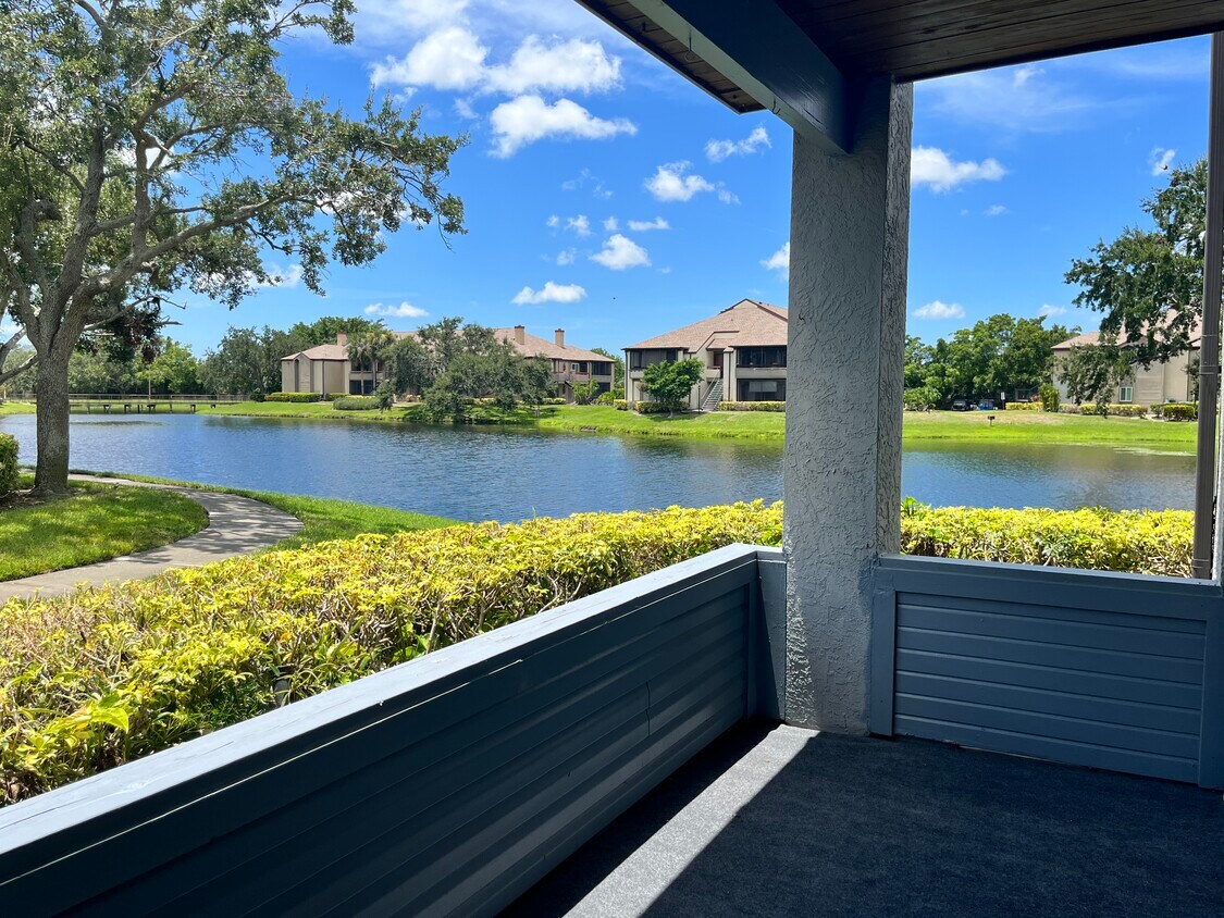 Foto principal - 10263 Gandy Blvd N