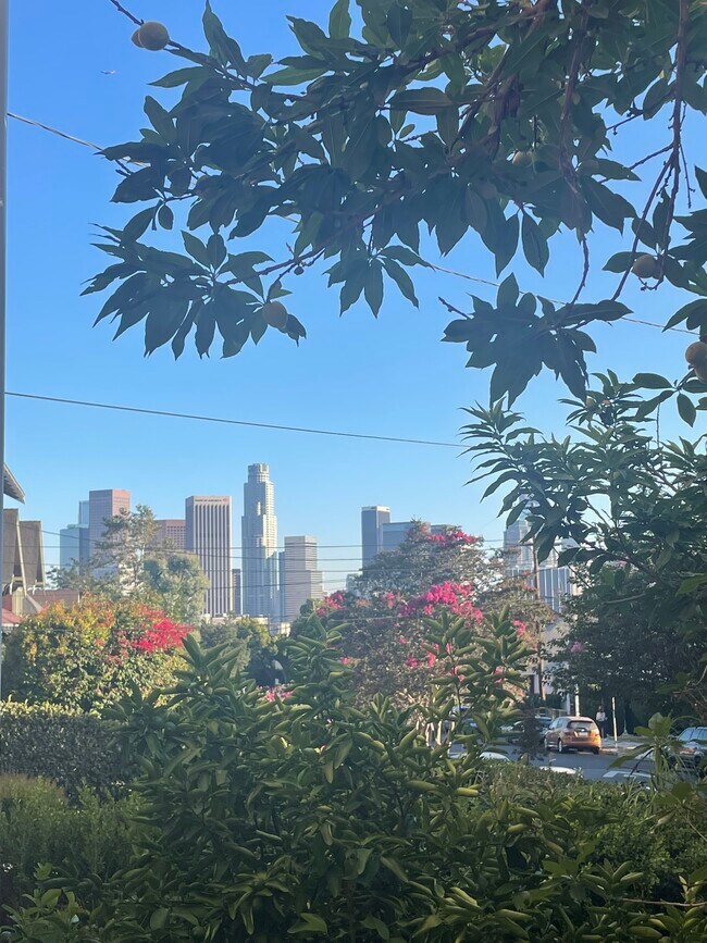 Picturesque view from south facing window in the front bedroom - 782 E Kensington Rd