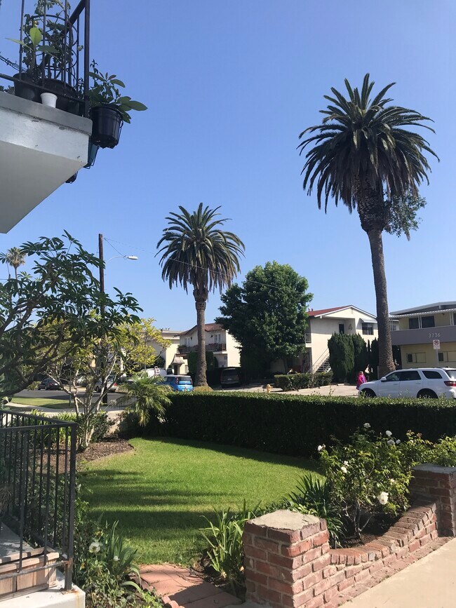 vista desde el patio delantero - 3741 Westwodl blvd
