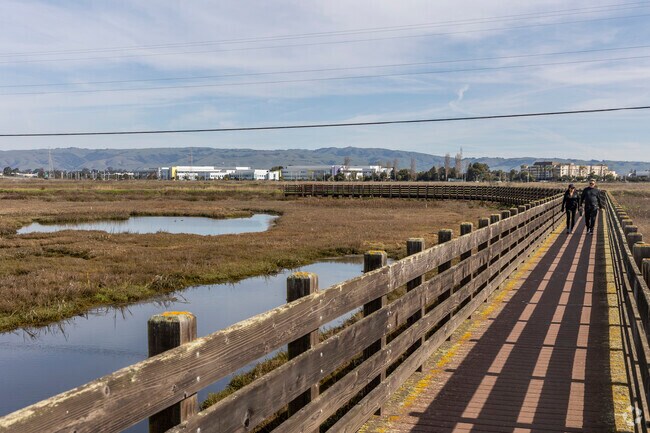 Newark's marsh area has walkways that help you see the natural wildlife.