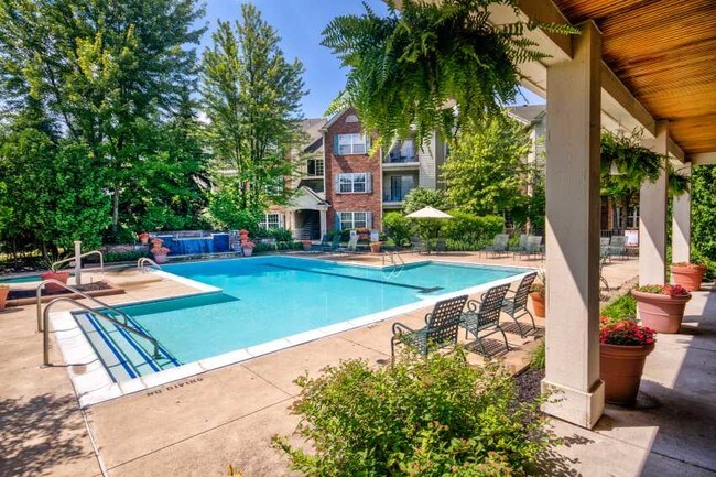 Piscina con solárium - Lake Village of Fairlane
