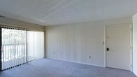 This single-floor residential space offers a clean, functional layout designed with simplicity and comfort in mind. The main living area is finished with wall-to-wall plush carpeting in a neutral gray tone, providing a soft underfoot feel that extends throughout the room. Smooth, light-colored walls create a bright and airy atmosphere, offering a versatile backdrop suitable for a variety of interior styles. A large sliding glass door dressed with vertical blinds serves as a prominent architectural feature, allowing natural light to filter into the space while also providing the option for privacy. The door offers direct access to an outdoor area, enhancing the sense of openness. The ceiling is smooth and subtly textured, contributing to the clean aesthetic of the room. Electrical outlets and a wall switch are conveniently positioned along the baseboards. A standard interior door with a light-toned frame provides access to an adjacent room, suggesting a connected floor plan. Overall, this space presents a straightforward and well-maintained environment that is move-in ready and easy to personalize.