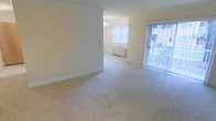 This single-floor residential space offers a clean, open layout bathed in natural light. The living area is finished with plush, neutral-toned carpeting that adds warmth and comfort underfoot, while crisp white walls and white baseboards create a bright, airy atmosphere throughout. Crown molding lines the ceiling, lending a subtle touch of elegance to the space.

A sliding glass door with vertical blinds opens directly to an outdoor area, where lush greenery is visible, allowing natural light to pour into the interior and creating a seamless connection between indoors and outdoors. An additional window in the adjacent room, dressed with vertical blinds, further enhances the natural light levels and contributes to the open, welcoming feel of the space.

The layout flows naturally from the main living area into a secondary room, which features a chandelier overhead and a baseboard heating unit beneath the window — practical details that speak to the home's functional design. The neutral color palette and uncluttered layout make the space highly versatile, providing an excellent foundation for a variety of interior styles. Overall, the space presents a comfortable, light-filled environment that is both practical and inviting.