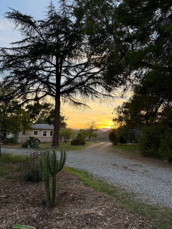 Building Photo - 1210 Woodland Ave