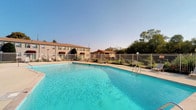 This pool space serves as a well-appointed outdoor amenity, centered around a generously sized swimming pool with clear, blue-tinted water. The pool is framed by a broad concrete deck that provides ample space for lounge chairs and relaxing in the sun. A white metal security fence encloses the entire area, offering both safety and a clean aesthetic, while mature trees along the perimeter provide a natural backdrop and partial shade.

An adjacent interior space connects directly to the pool area via large windows and a sliding glass door, allowing unobstructed views of the water from inside. This interior room features wood-look flooring, beadboard wainscoting, and multiple windows fitted with white horizontal blinds that allow natural light to filter through in warm, patterned streams. A secondary interior room, accessible from this space, is set up as a functional office area with tile flooring, a desk, task chair, and additional windows with blinds. The overall ambiance balances practical utility with an inviting, light-filled atmosphere, with the pool serving as the central visual and recreational focal point of the property.