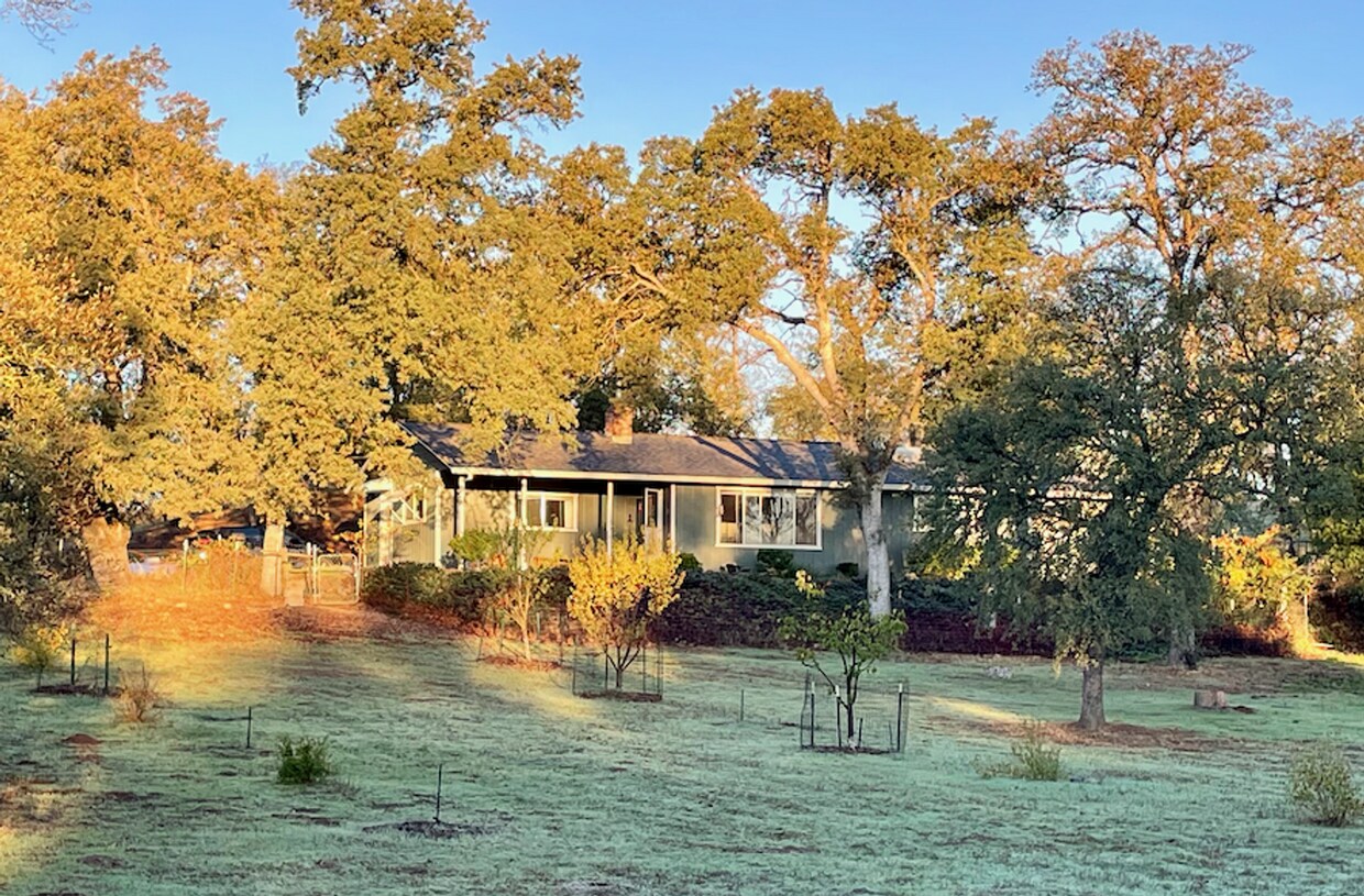 Foto principal - 9733 Hidden Ln