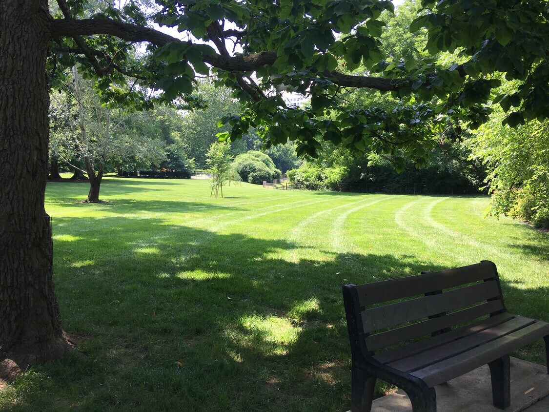 10436 Rockville Pike Unit Apt 102, Rockville, MD 20852 Apartments in