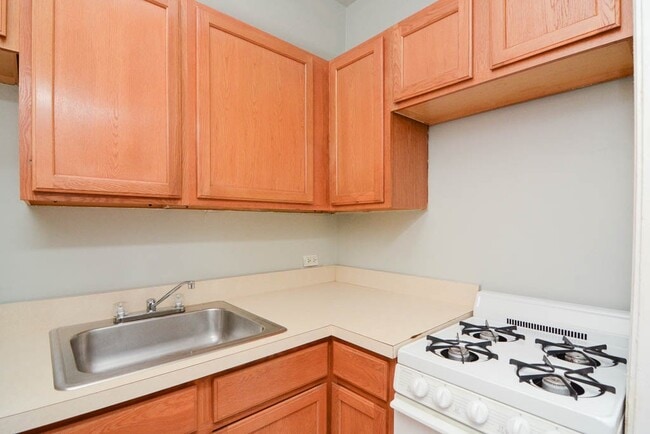 Foto del edificio - 1169 N Dearborn