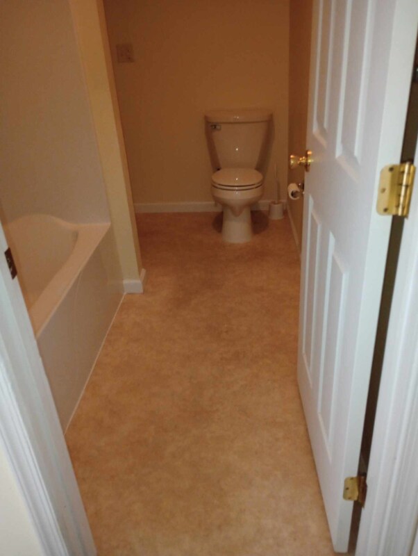Foto principal - 315 Springdale St