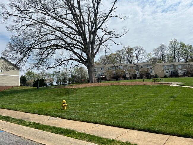 Foto del edificio - 115 Forest Ridge Rd