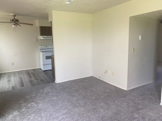 Photo - 67 Bellevue Dr Apartment
