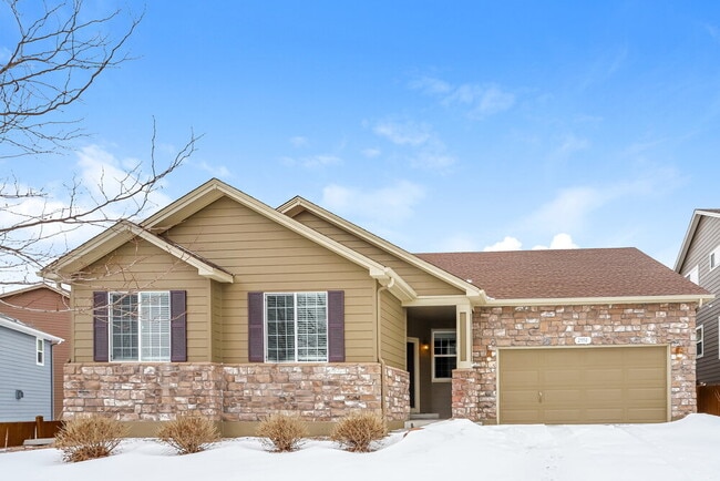 Building Photo - 2550 Paint Pony Cir
