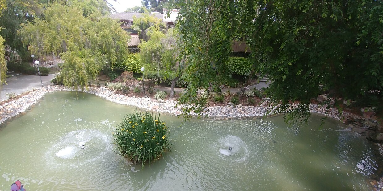 151 Buckingham Dr Unit 252, Santa Clara, CA 95051 Condo for Rent in