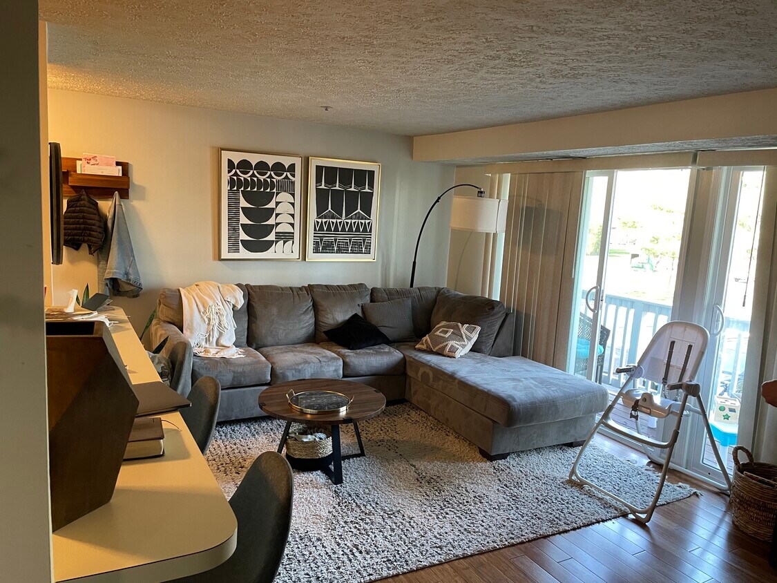 Living room - 41 Kenwood Dr