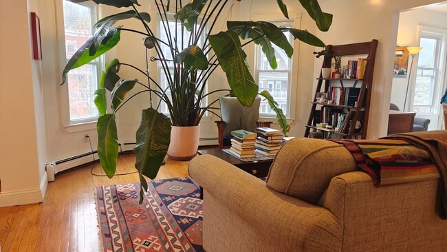 Foto del edificio - 2 Rogers Ave