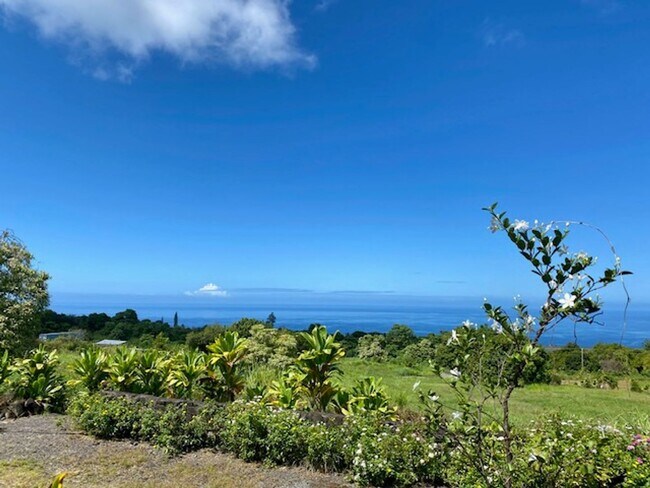 Foto del edificio - Captain Cook 3 bed 2 bath House