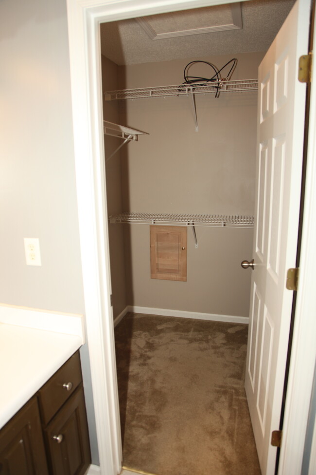 Rear bedroom closet - large walk-in with additional storage to the right behind door - 1151 Riverside Terrace