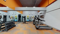 Located at 3470 Ft Independence St in the Bronx, New York, this fitness center is a well-appointed, single-floor gym designed to support a wide range of workout routines. The space is instantly recognizable by its bold orange and gray color scheme, with the motivational phrase "No Pain. No Gain." displayed prominently across the upper walls, setting an energetic tone throughout.

The main workout area is outfitted with multiple treadmills and a stair climber for cardiovascular training, alongside a stationary bike and elliptical machine. A dedicated strength training section includes a full dumbbell rack, a cable resistance machine, and an adjustable workout bench. Large floor-to-ceiling mirrors line the walls, enhancing the sense of space and allowing members to monitor their form.

A functional training corner houses an assortment of medicine balls, resistance bands, stability balls, and a ball storage rack, catering to dynamic and versatile workouts. A separate area features a Title boxing heavy bag and a mini trampoline, ideal for high-intensity interval and combat-style training.

The flooring throughout consists of durable, patterned carpet tiles in orange and gray tones, complementing the overall aesthetic. Overhead fluorescent lighting ensures the space is well-lit, while a wall-mounted air conditioning unit maintains a comfortable environment. Framed motivational posters complete the inspiring atmosphere of this comprehensive fitness facility.