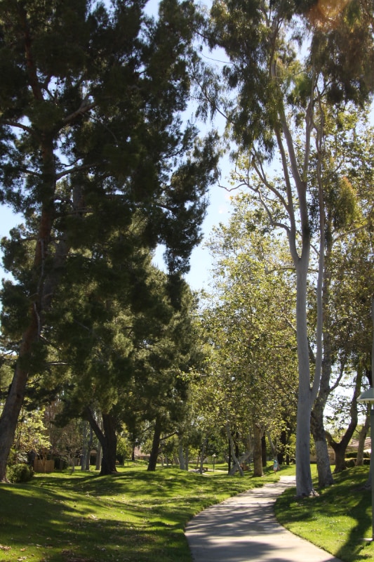 Photo - 5146 Maple Apartment