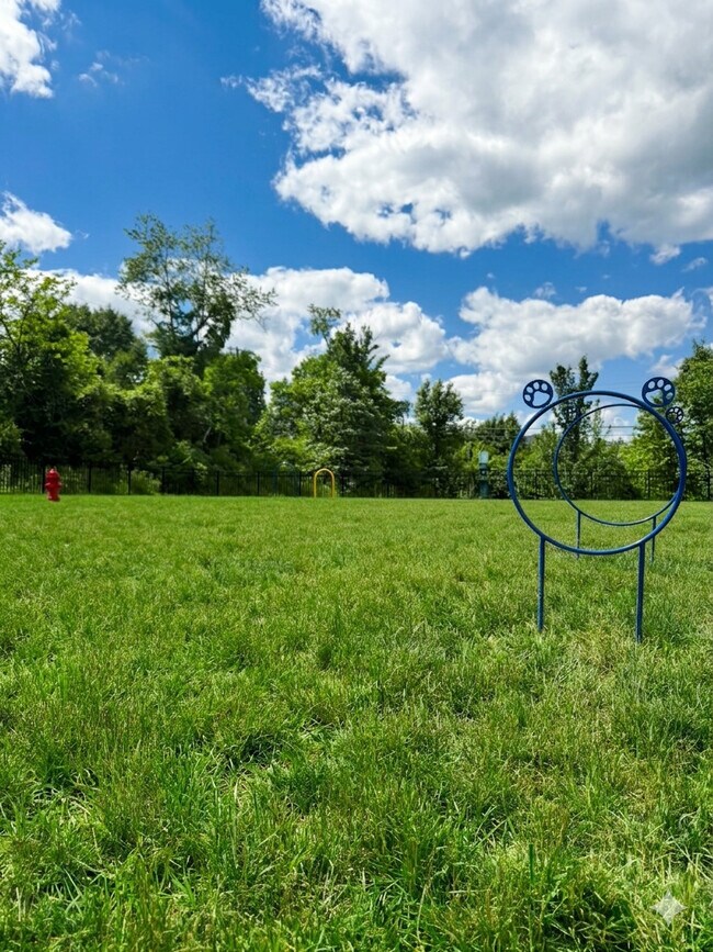 Parque para perros - Buffalo Ridge Townhomes