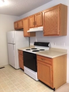 Foto del edificio - 2919 Bluff Ridge Dr