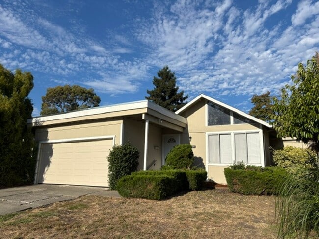 Building Photo - 1326 Camino Coronado