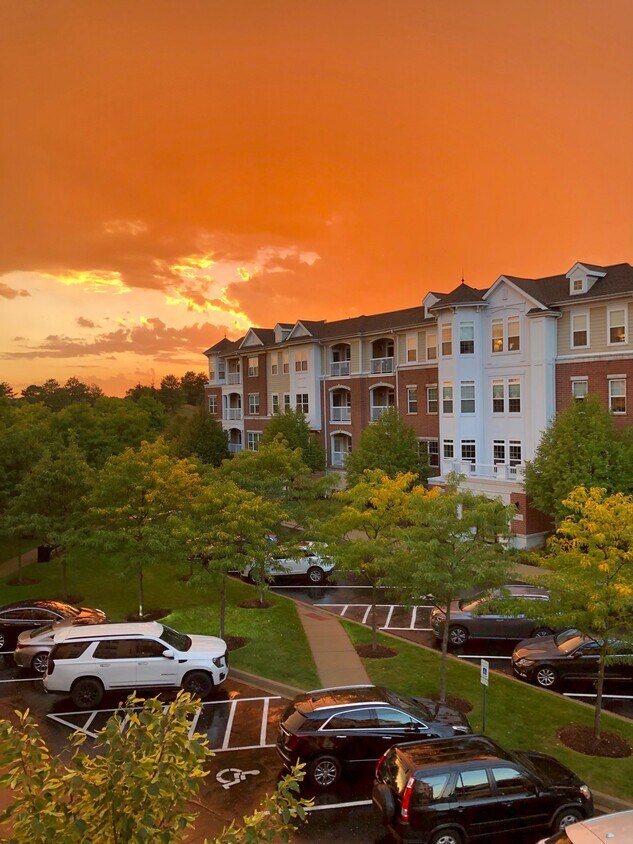 2701 Commons Dr Unit 302, Glenview, IL 60026 Condo for Rent in