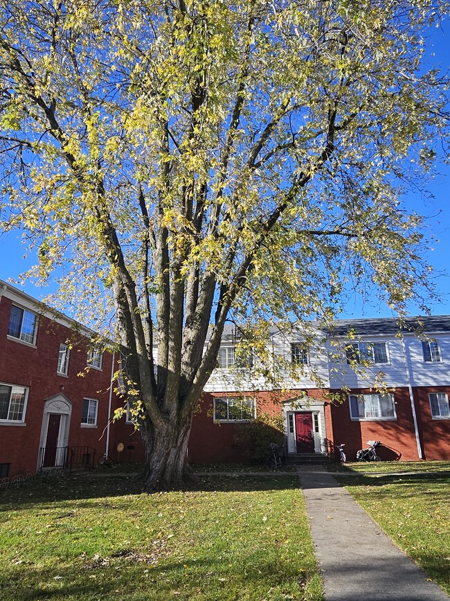 Building Photo - Franklin Court Apartments