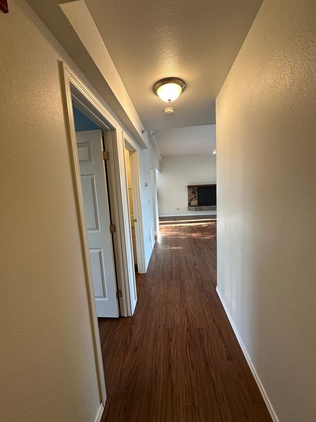 Building Photo - 1115 Selief Ln