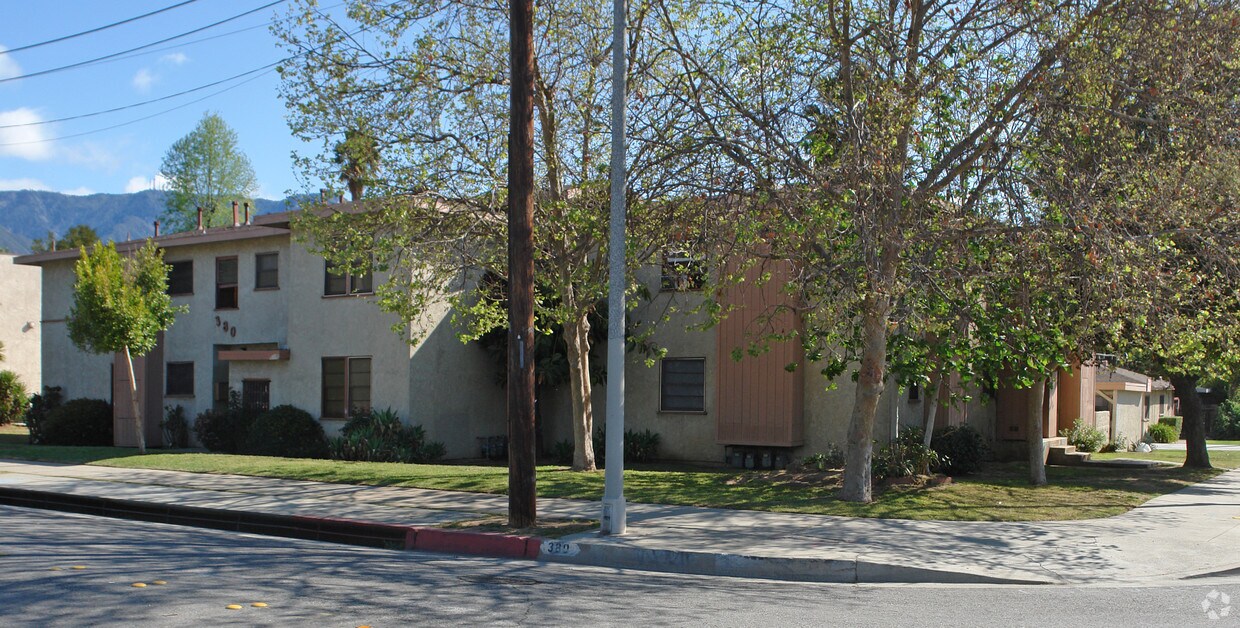 Building Photo - Maple Tree Apartments