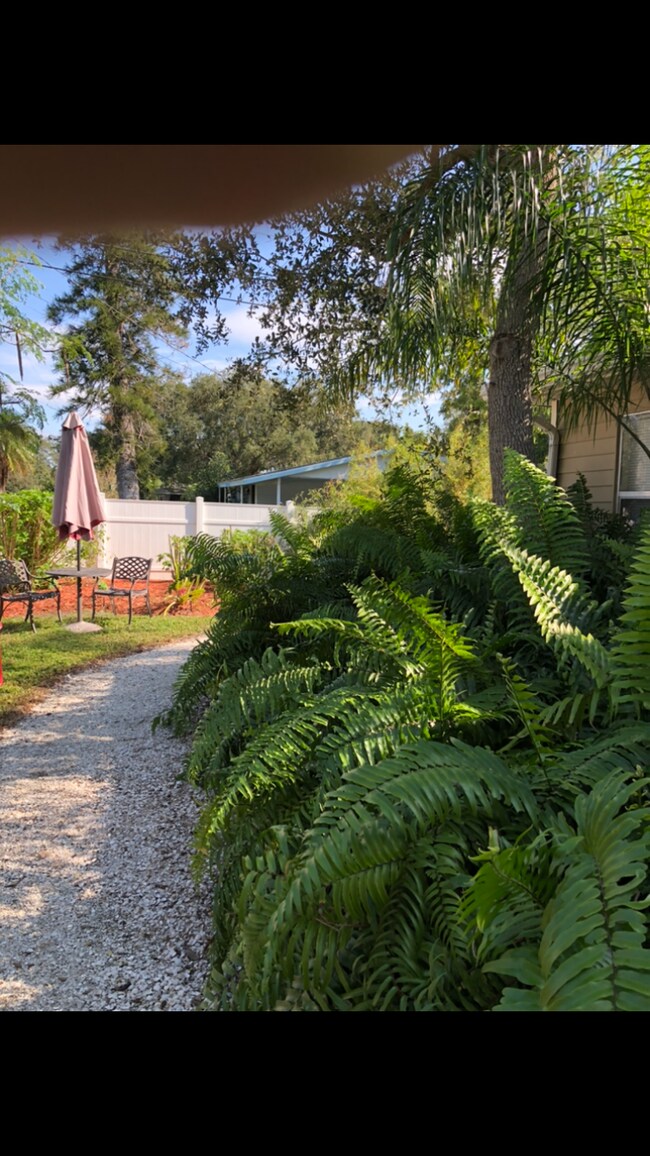 Follow the shell pathway by the tropical fern gardens - 5703 Murdock Ave