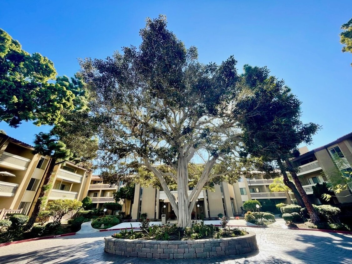 Foto principal - 1 Bedroom 1 Bath Condo (Pacific Beach)