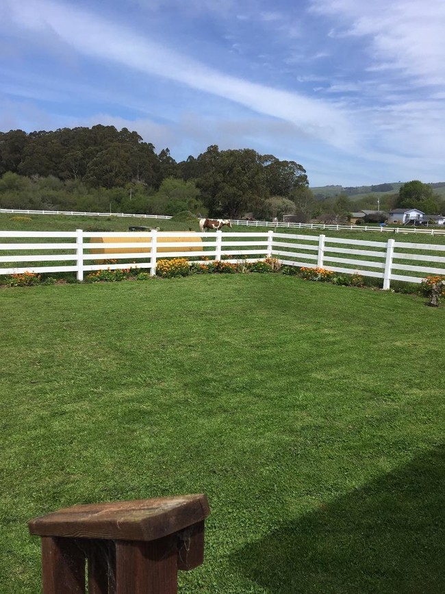 Foto del edificio - 4 bedroom in Pescadero CA 94060