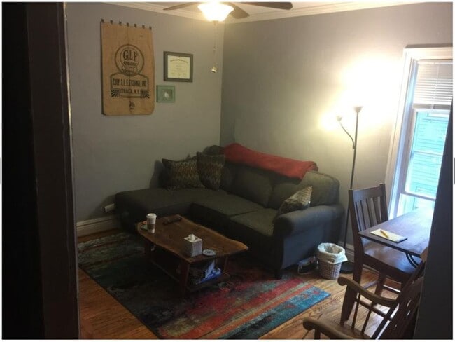 Living Room - 773 Richmond Ave