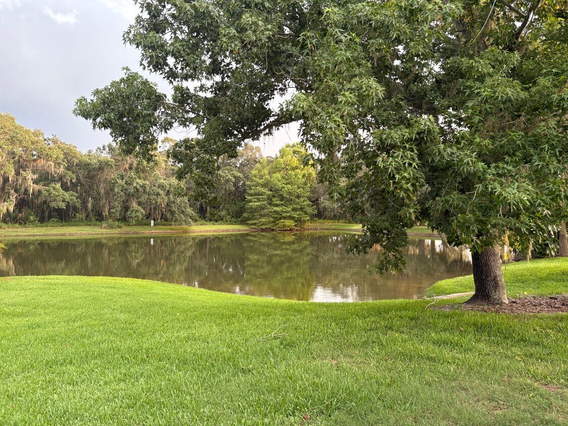 Foto del edificio - Charming 3-Bedroom, 2-Bath Villa with Serene Waterview in Jade East