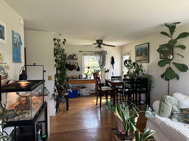 Foto del edificio - Brick Three bedroom Ranch in Uptown Blacks...