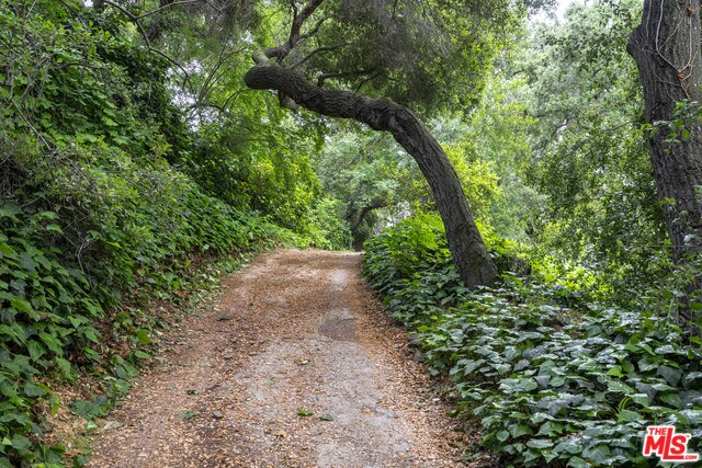 Building Photo - 650 N Topanga Canyon Blvd