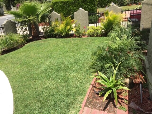 Jardín delantero - 1968 El Molino Ave