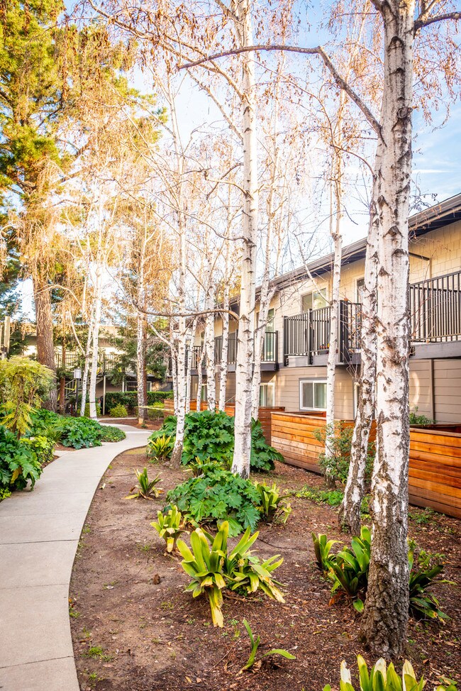 Fountain Park Apartments San Jose, CA