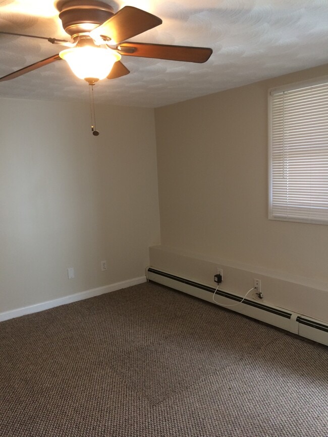 Building Photo - 37 Cecilian Ave