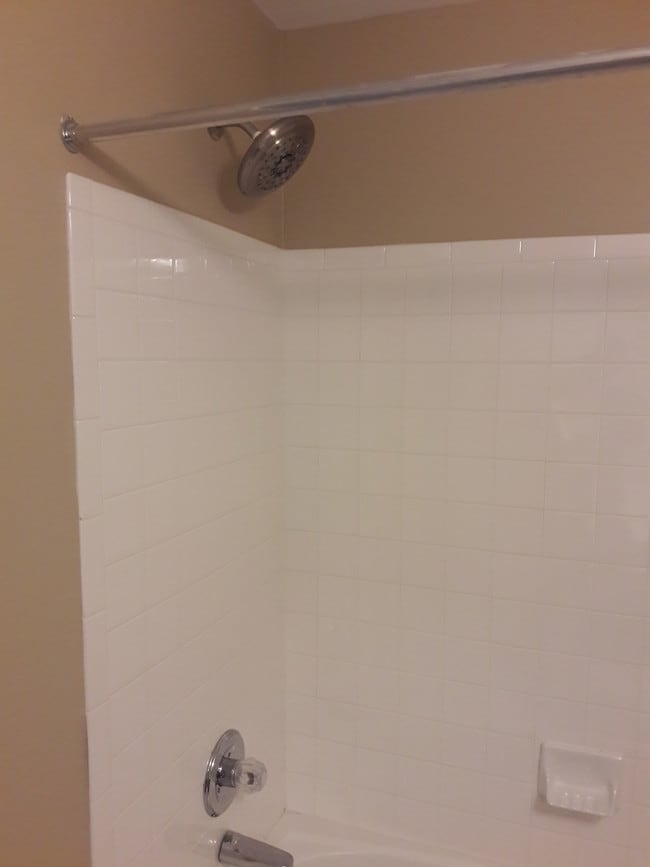 Large Rainfall showerhead - 7607 Mildreds Ln